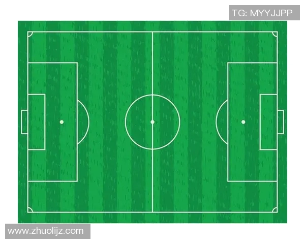 体育实时数据重庆排球队边路渗透战术分析及其成效与不足探讨 体育实时数据重庆排球队边路渗透战术分析及其成效与不足探讨