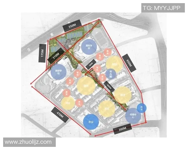 武汉网球队比赛经验分析及其对未来表现的影响探讨实时数据