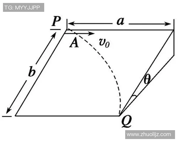 运动数据南京极限运动队整体压制现象分析及其对运动发展的影响探讨