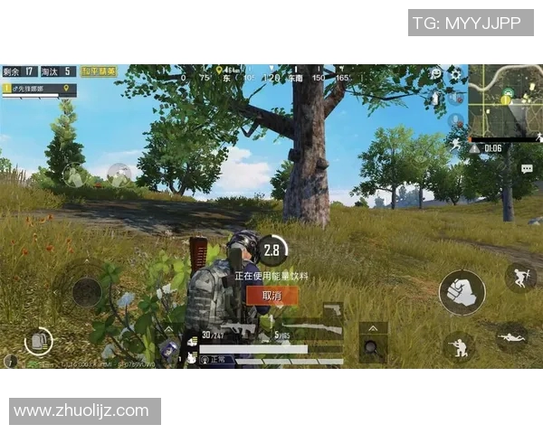 今年运动数据赵军独家分享和平精英游戏心得与技巧助你快速提升战斗力