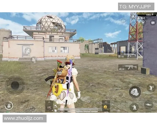 今年运动数据张敏专访揭秘和平精英成功背后的策略与创新之路